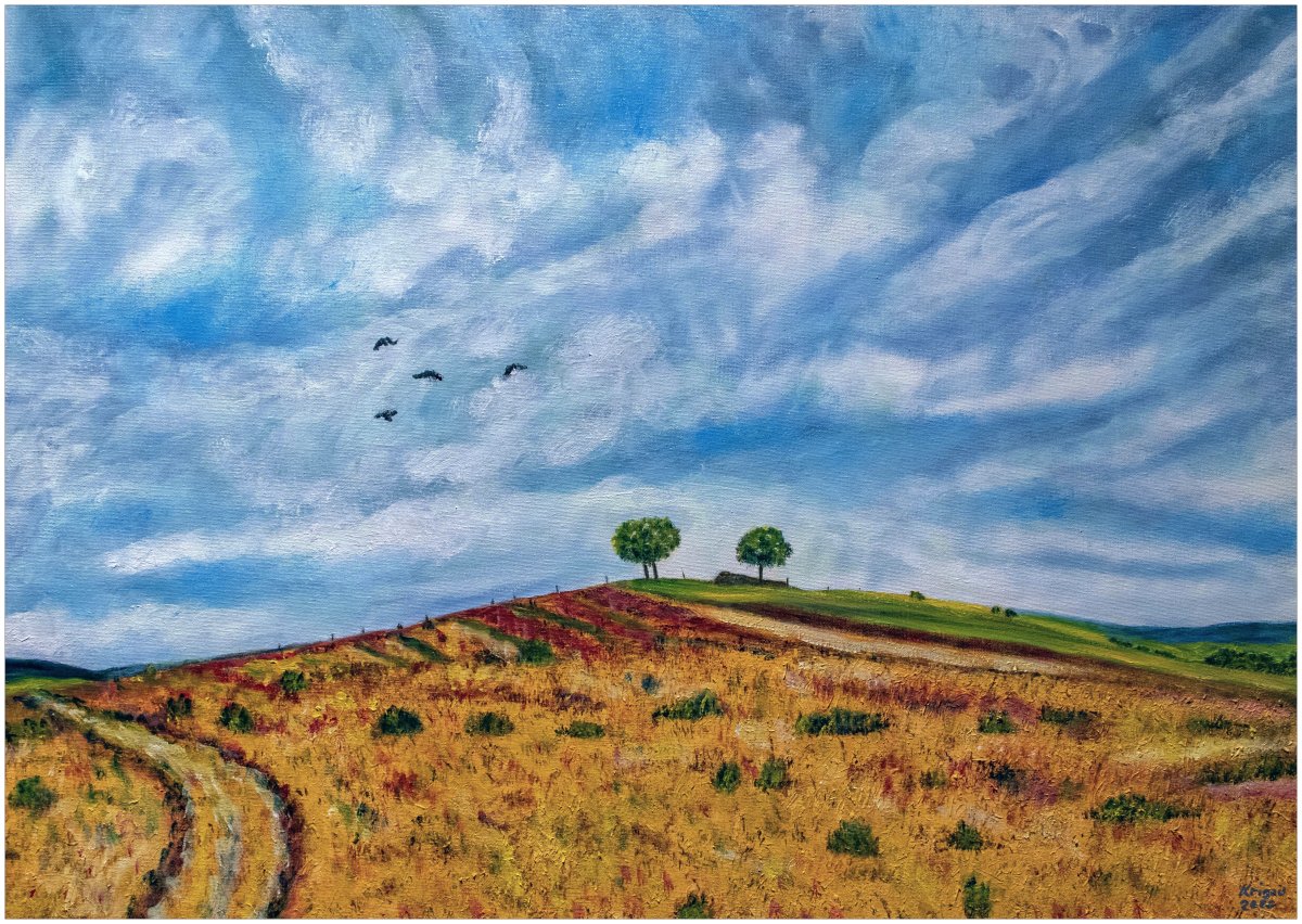  La colline aux 3 arbres 