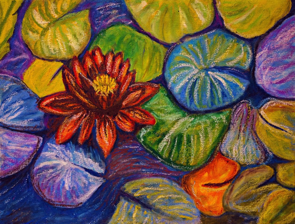 Water Lily in the Rosengarten Bern 