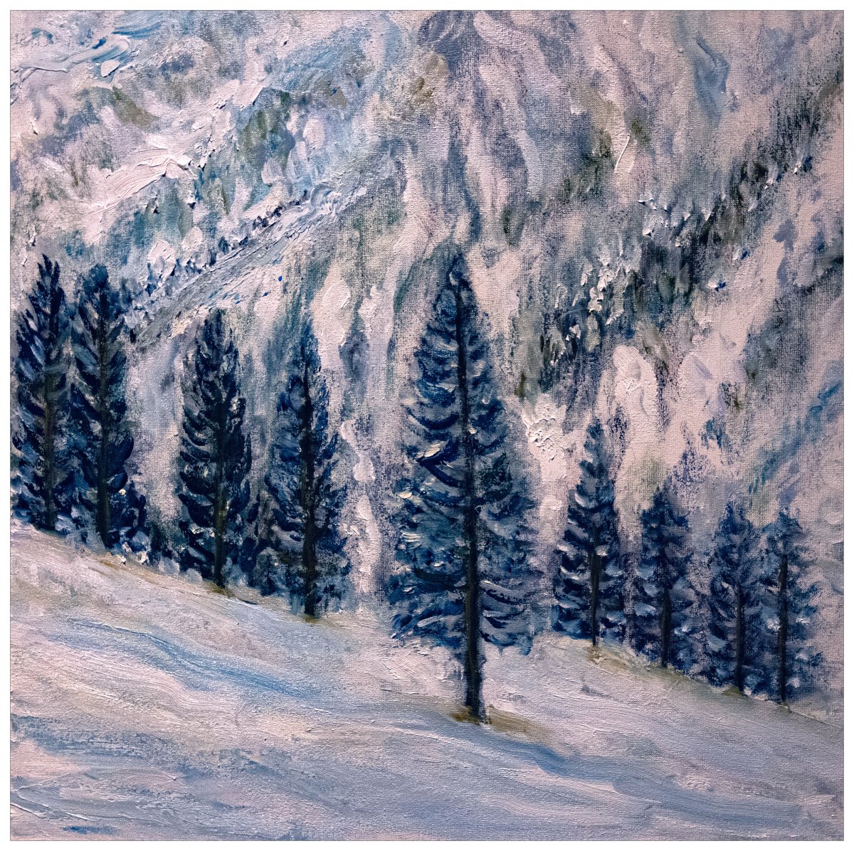 Neige et sapins dans la montagne