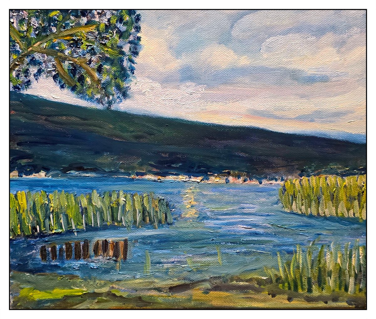 Bord du lac de Bienne à la nuit tombante