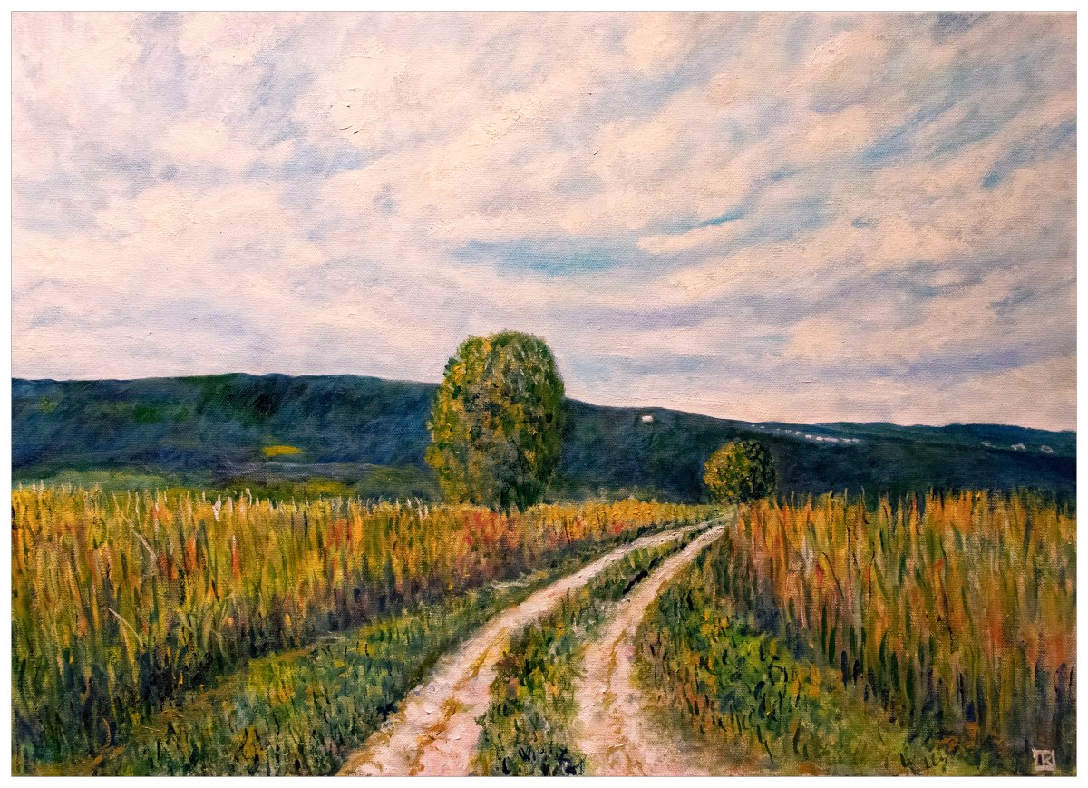 Chemin à travers le maïs