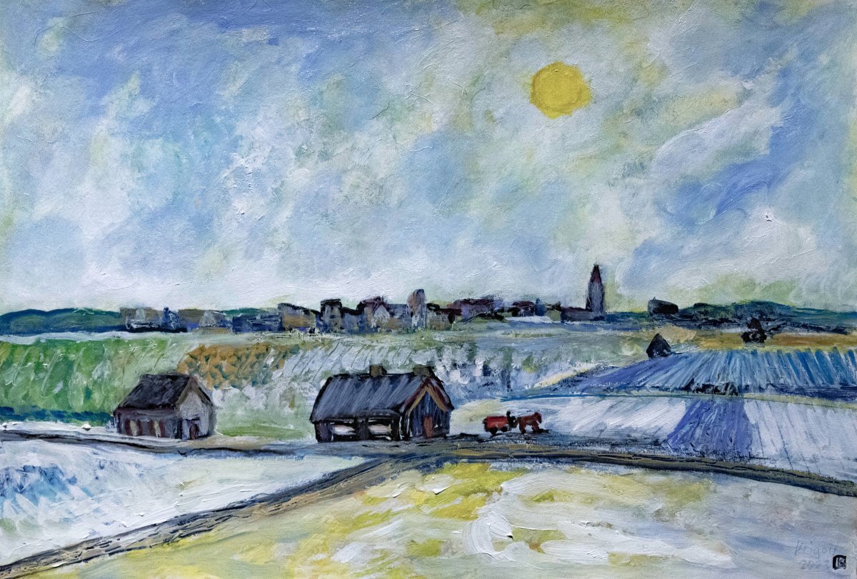 Champs de choux sous la neige 