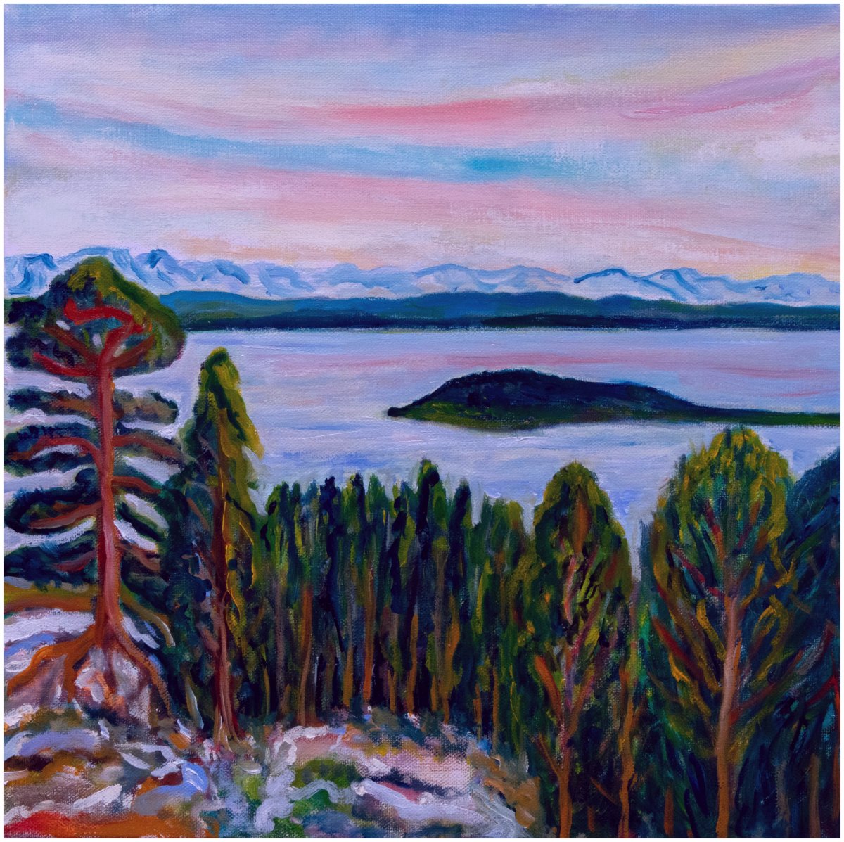 Île St. Pierre depuis la montagne de Douanne