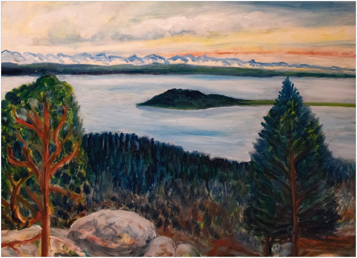 Île St.Pierre depuis la montagne de Douanne II