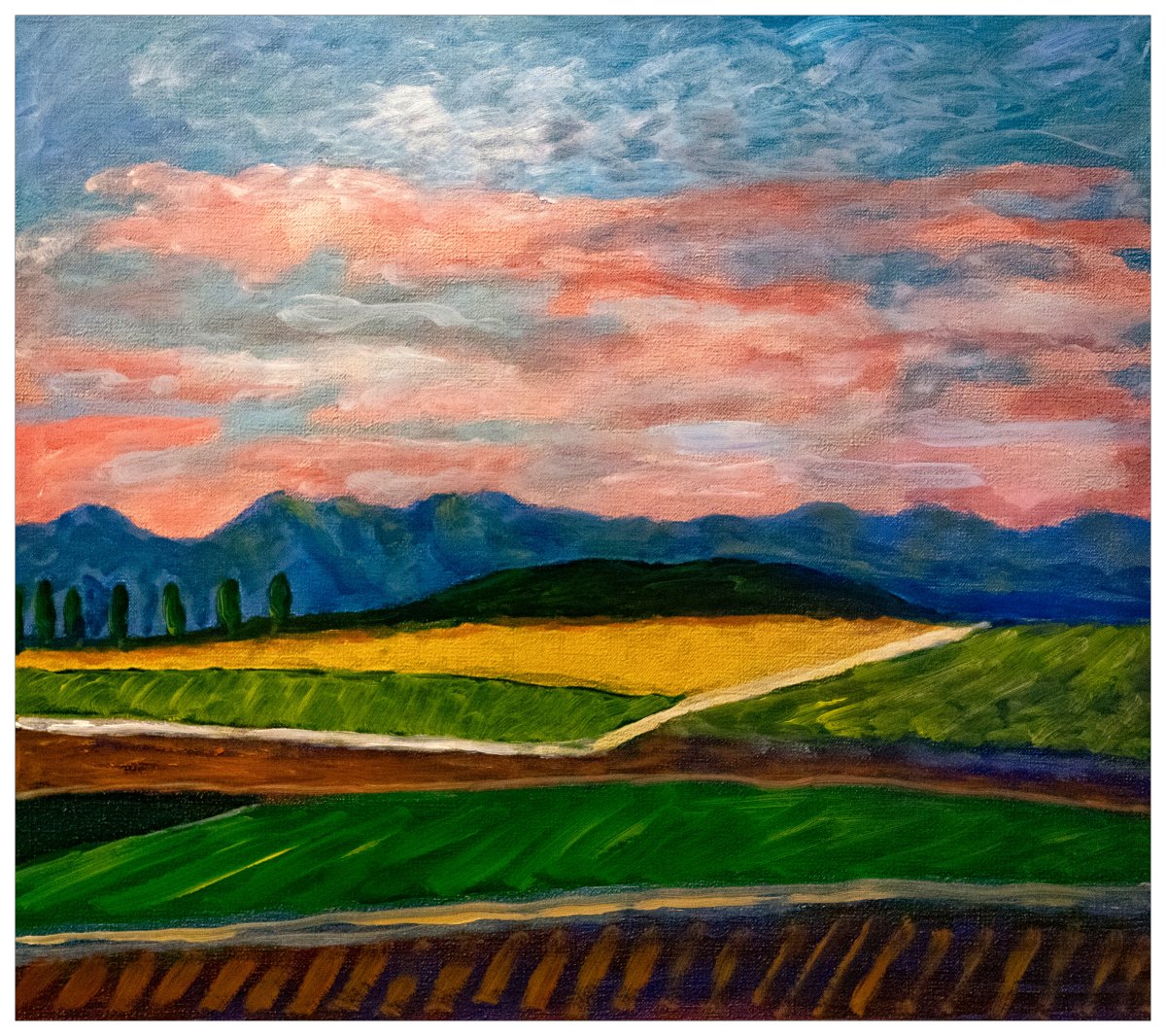 Champ de colza sous un ciel rose