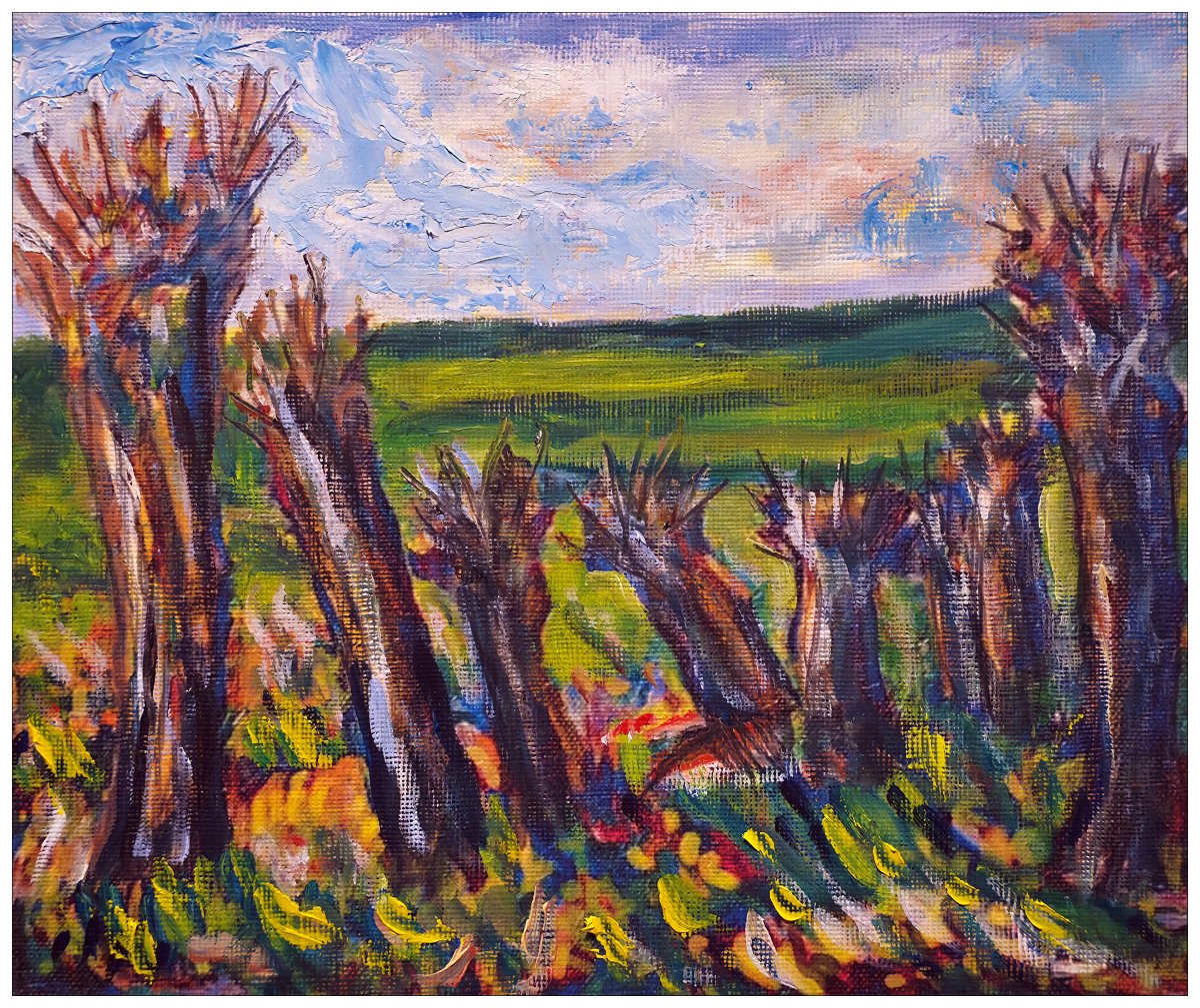 Les saules, gardiens du lac
