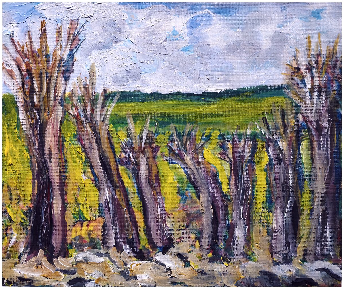 Les vieux saules