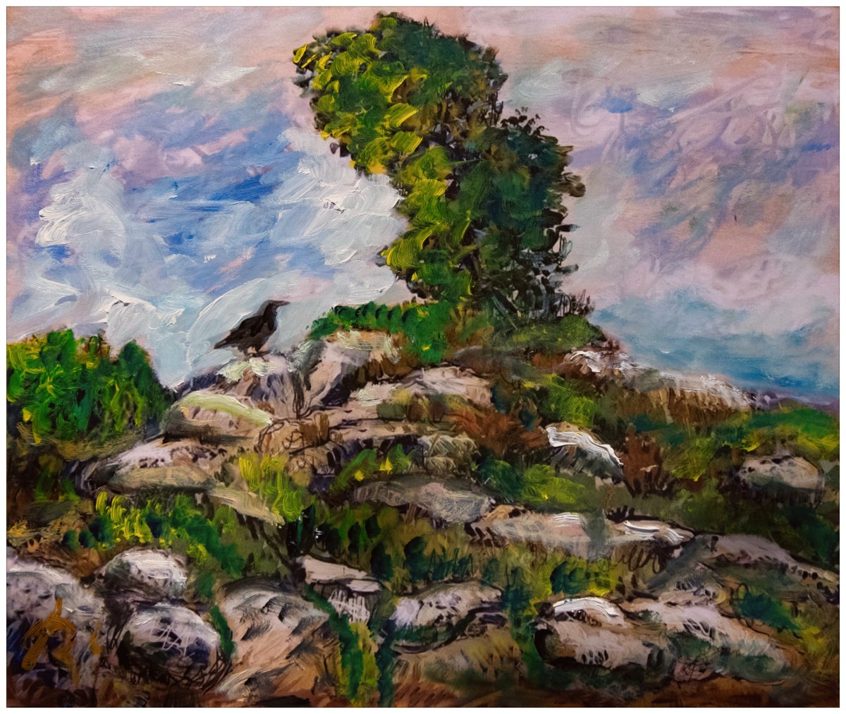 Maitre Corbeau sur un rocher perché