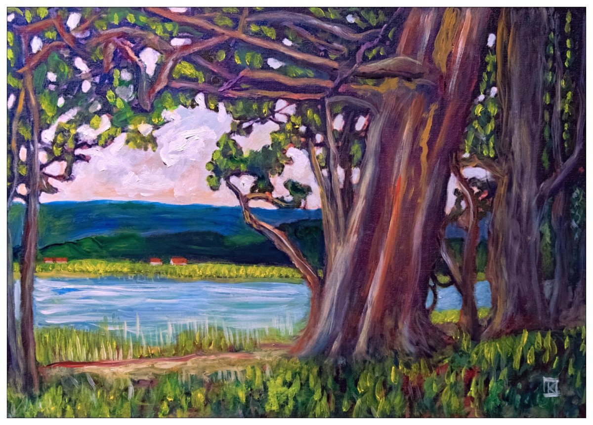 Seeland - Au bord de l'Aar