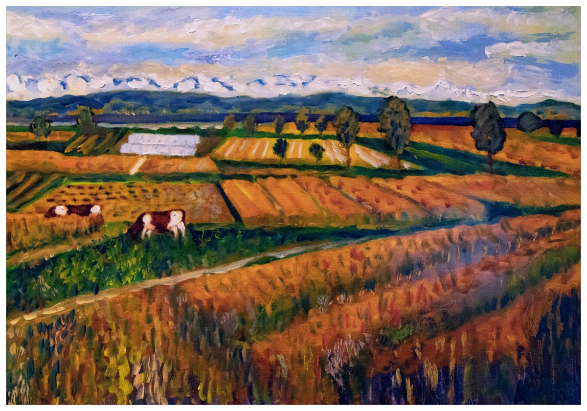 Une journée ordinaire dans le Seeland