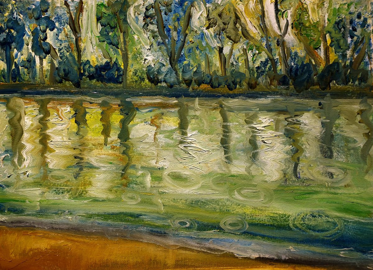 Forêt en miroir d'eau