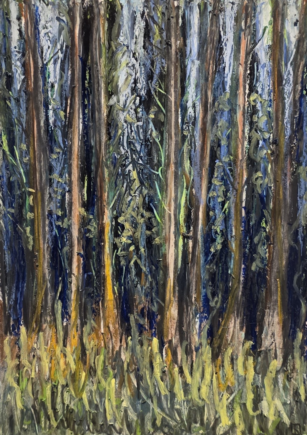 Sous-bois 2