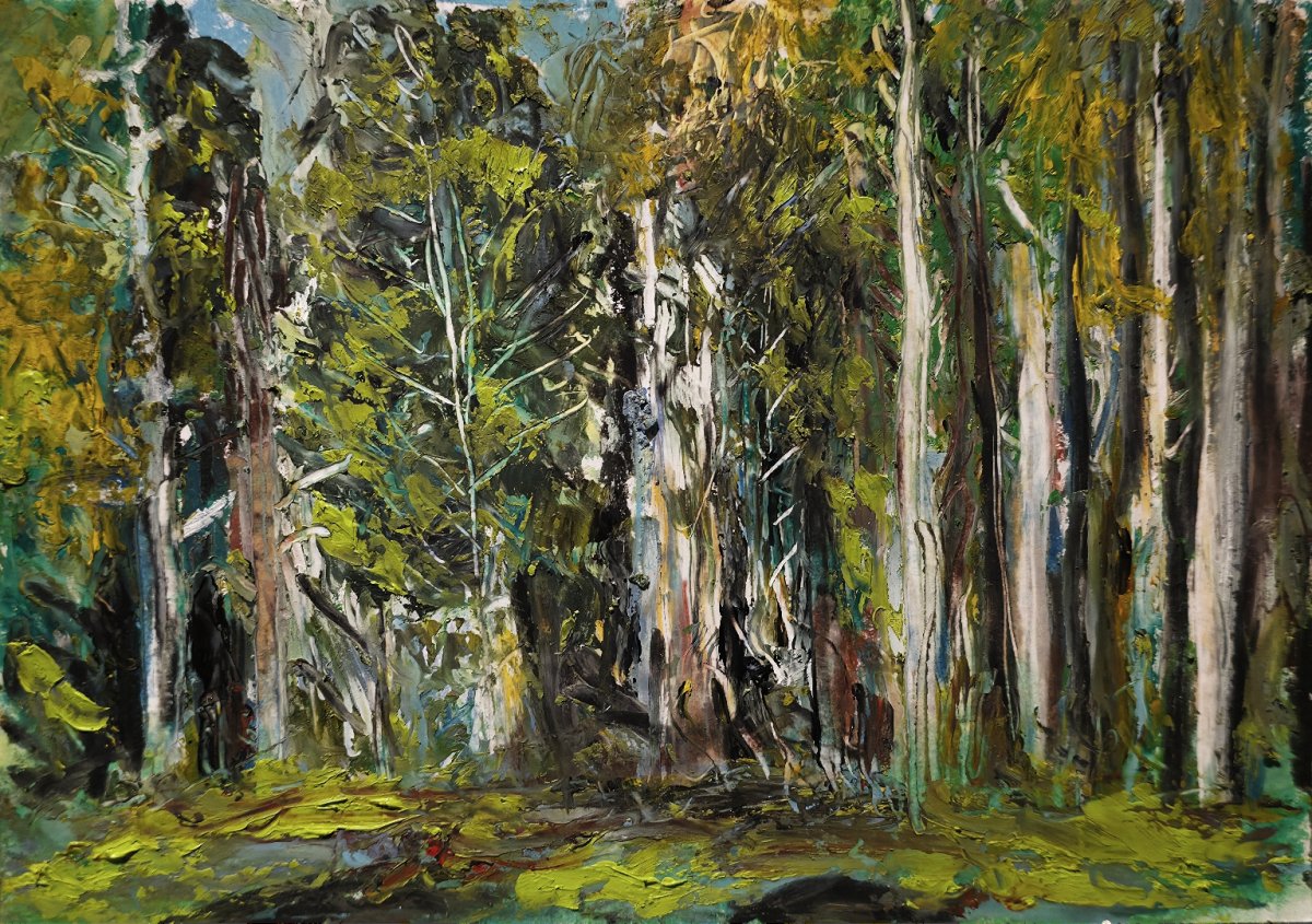 Lisière de forêt