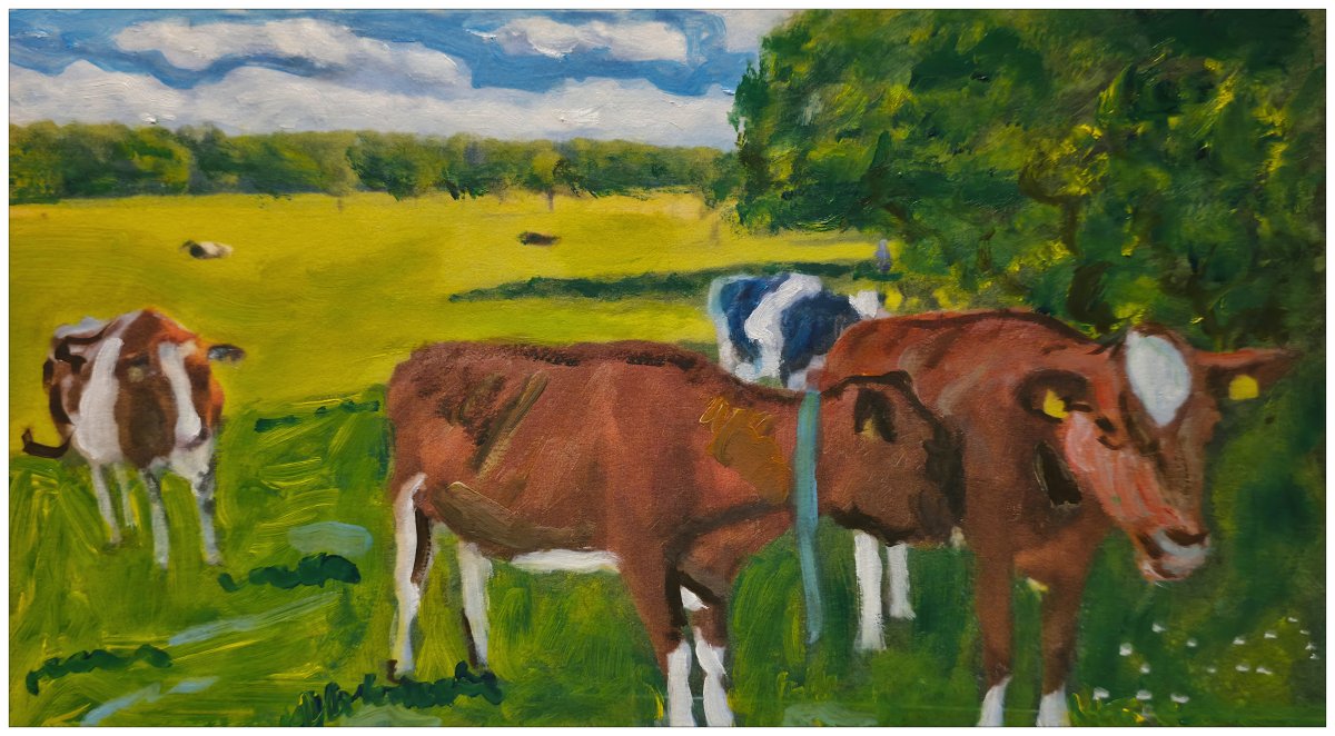 Bonjour les vaches