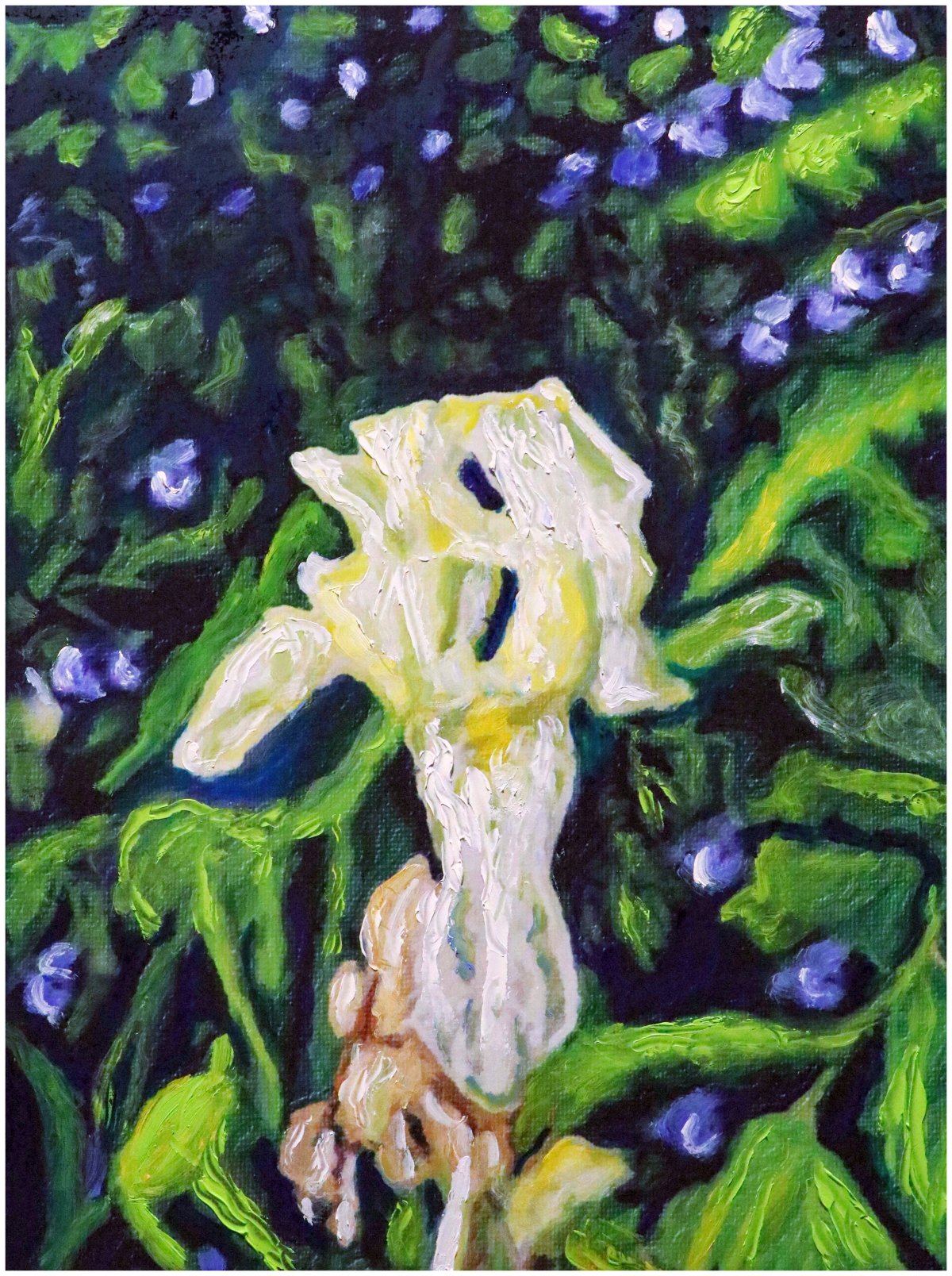 Portrait d'un éclat d'Iris au milieu du feuillage