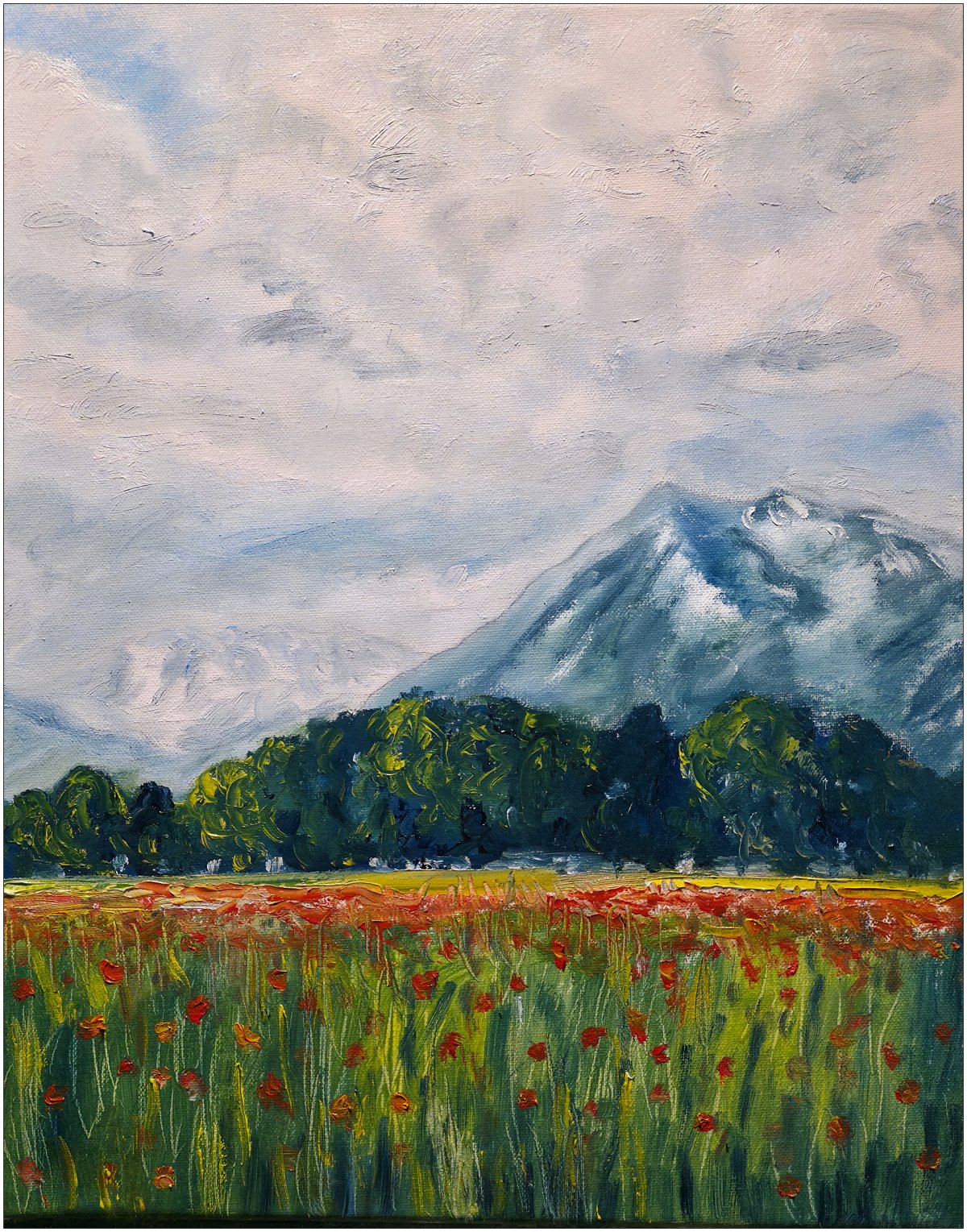 Niesen et champs de coquelicots