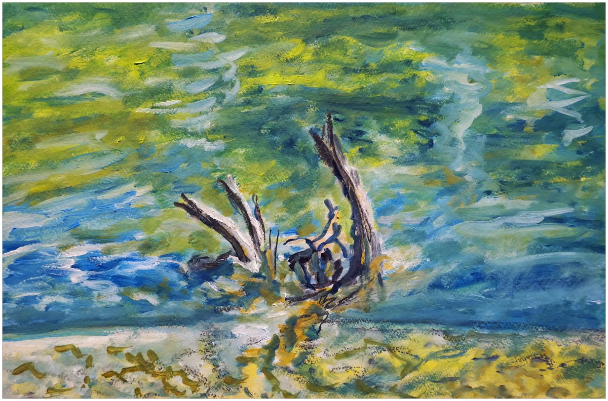 Vieux troncs d'arbres engloutis dans la Thièle 