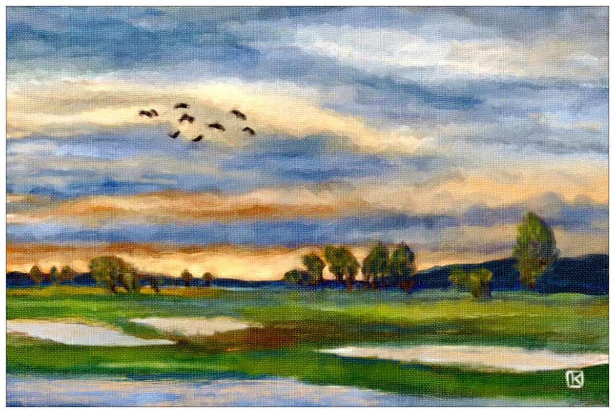 Seeland - Après les pluies 