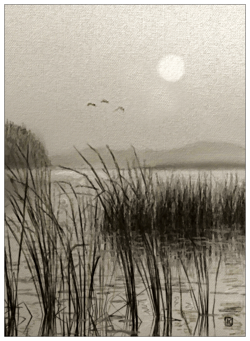 Temps nébuleux au bord du lac Titicaca