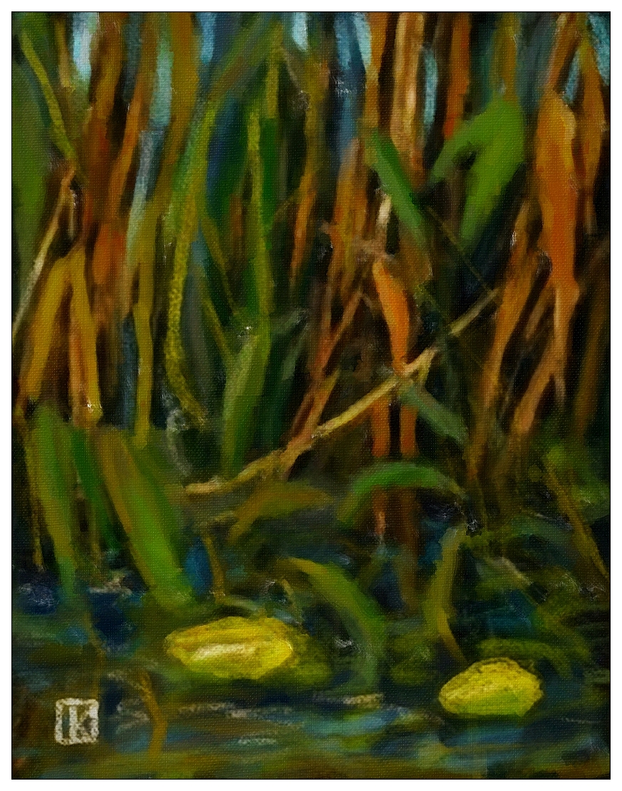 Au coeur des roseaux