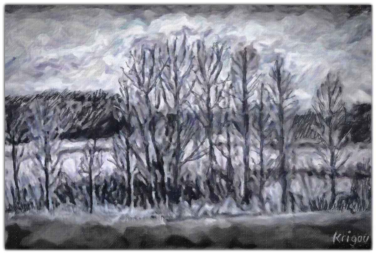 Bosquet en hiver