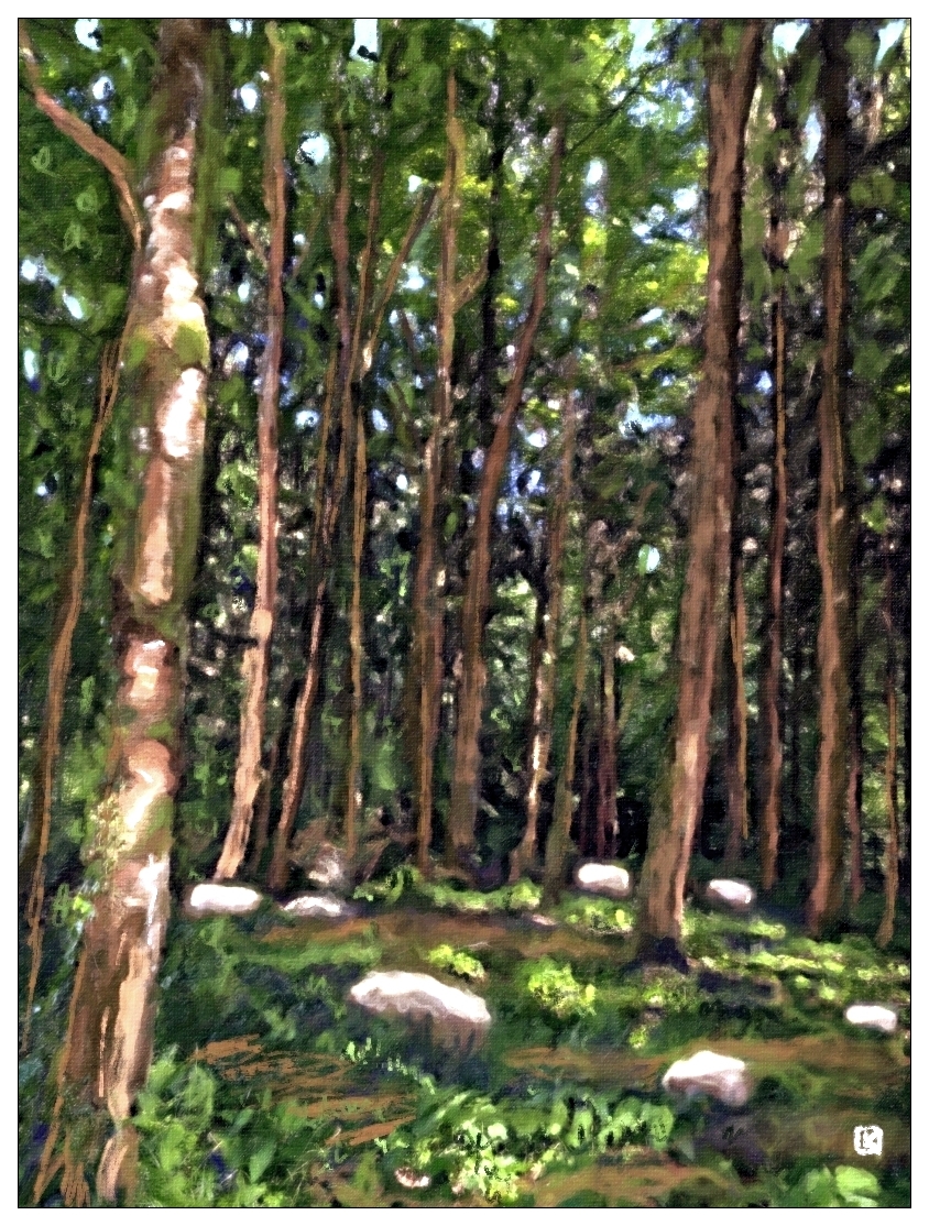 Lumière en sous-bois