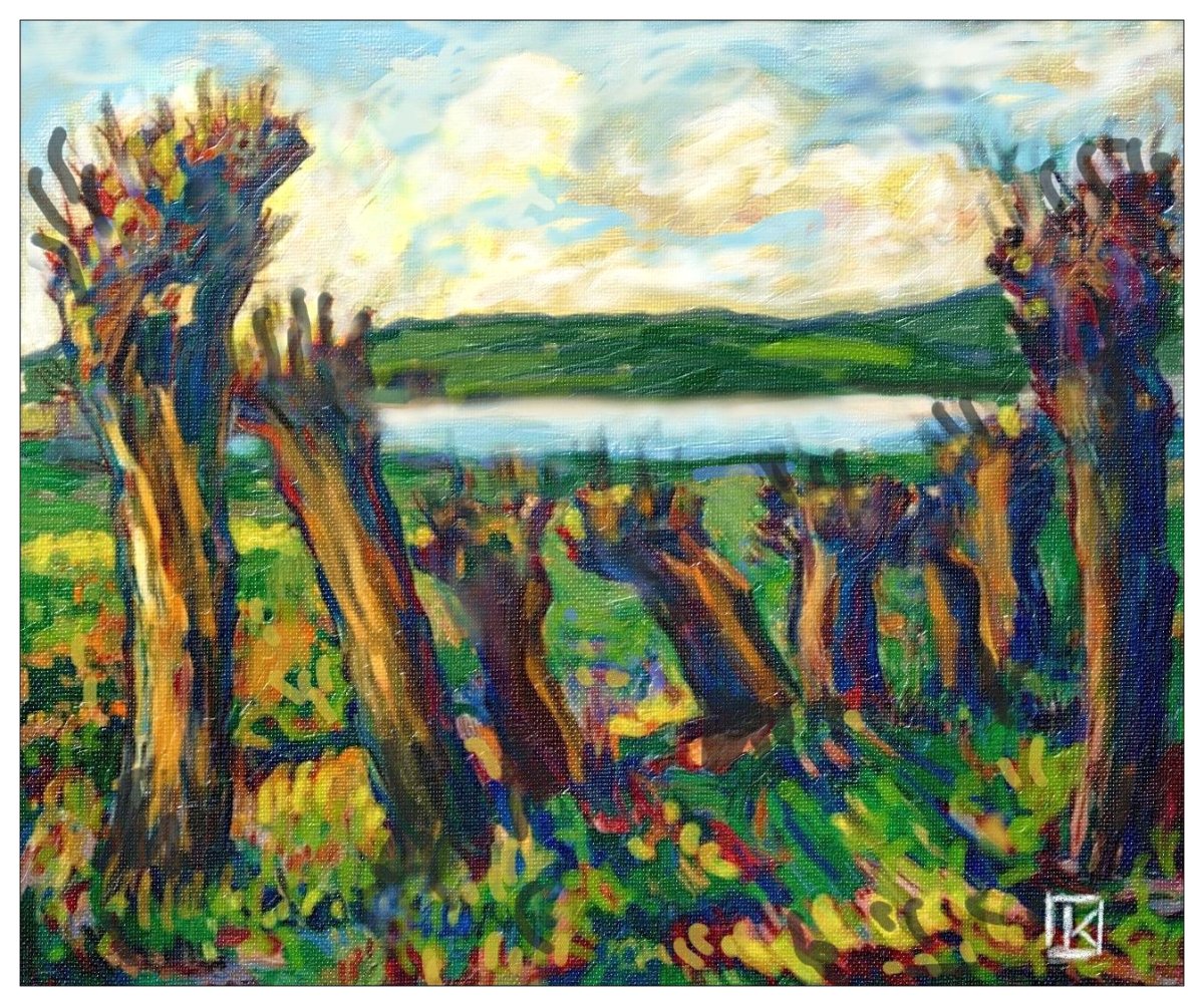 Les saules, gardiens du lac