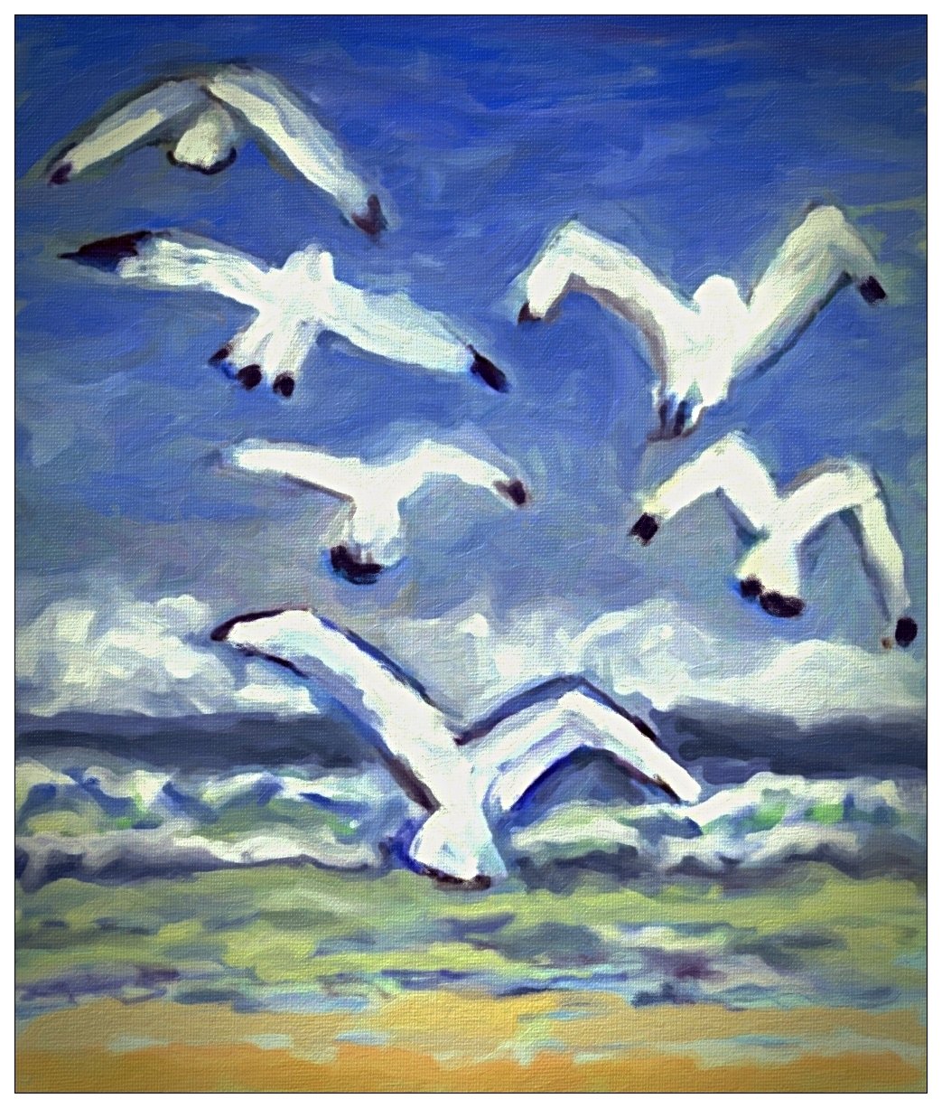 Mouettes en bord de mer