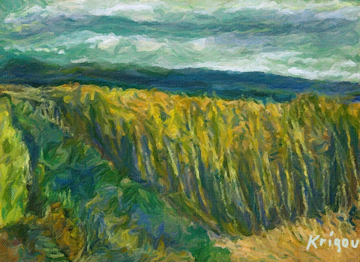Champ de blé avec chaîne du Jura 