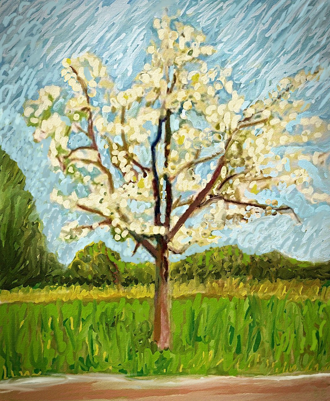 Arbre en fleurs