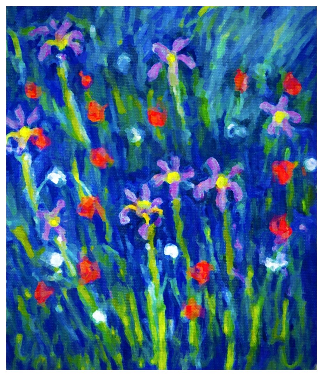 Pré fleuri - Comme un feu d'artifice