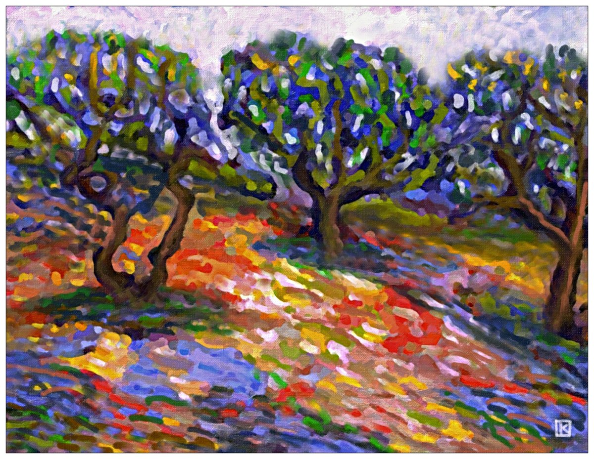 Le chant des oliviers