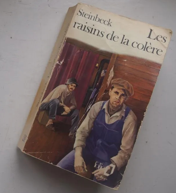 Les Raisins de la colère - roman de John Steinbeck