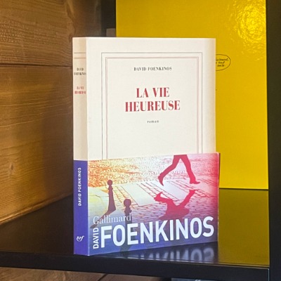 La vie heureuse – roman de David Foenkinos