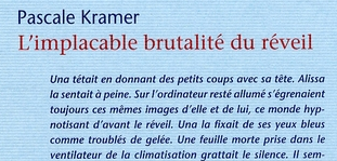 L'implacable brutalité du réveil - roman de Pascale Kramer