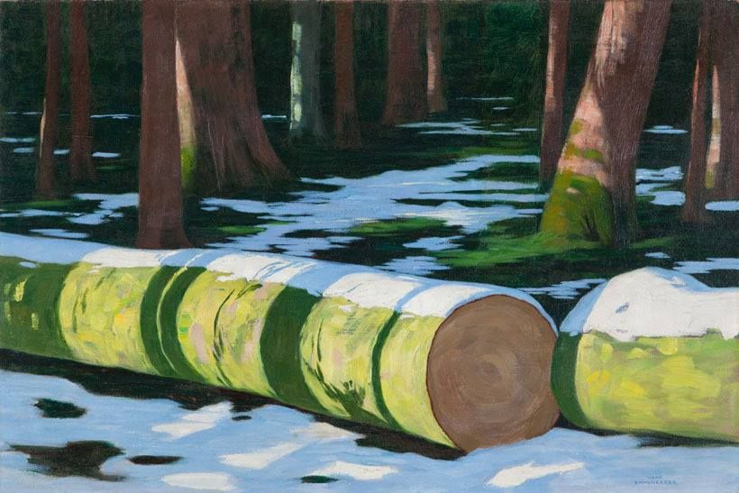 Le soleil dans la forêt, 1906 - Jeux d'ombre sur des troncs d'arbres coupés et enneigés