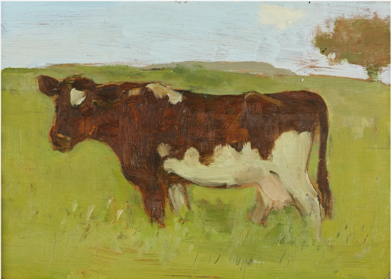 Vache, 1971