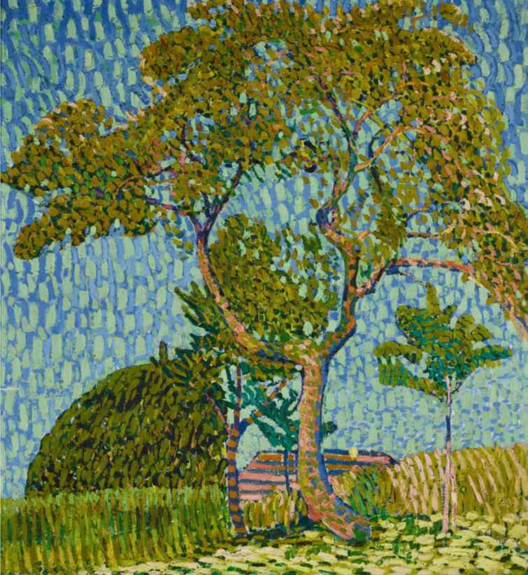 Arbre au soleil couchant