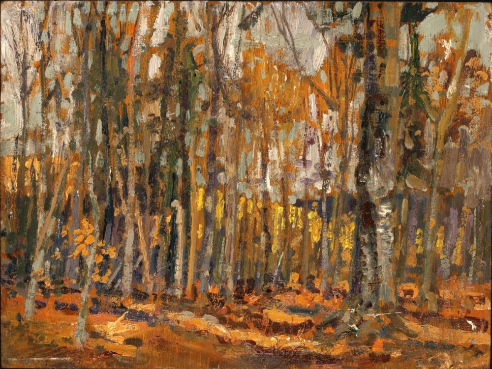 La futaie, parc Algonquin, 1914
