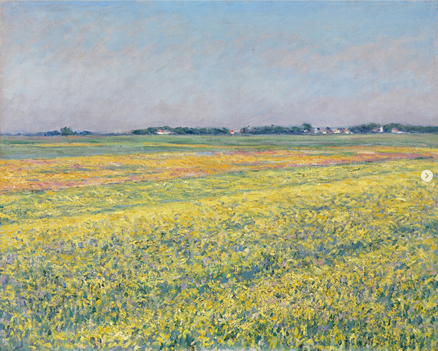 La plaine de Gennevilliers, champs jaunes, 1884, huile sur toile, 82 x 66 cm