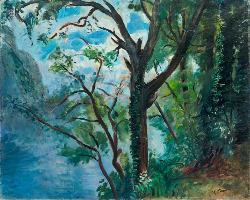 Dans les bois au bord du Gard, 1953