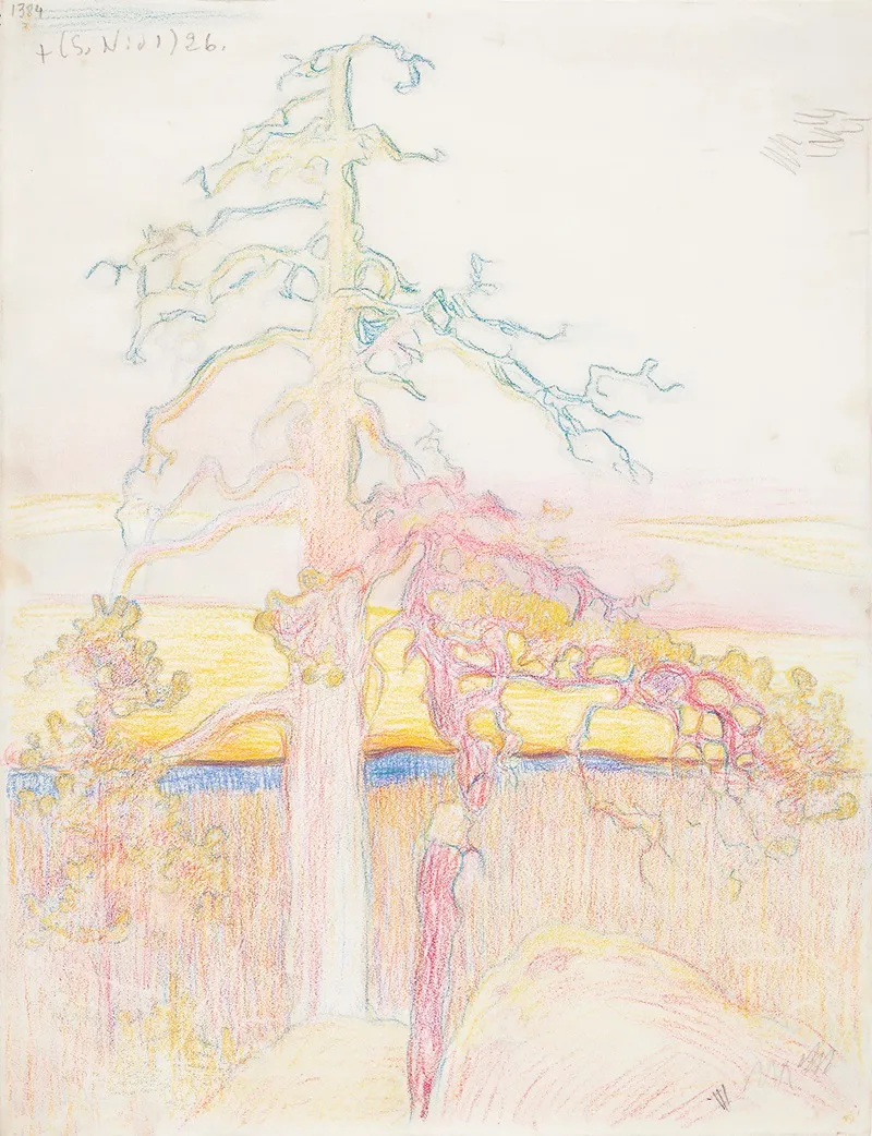 Pin dans la nature (1910 - 1920)