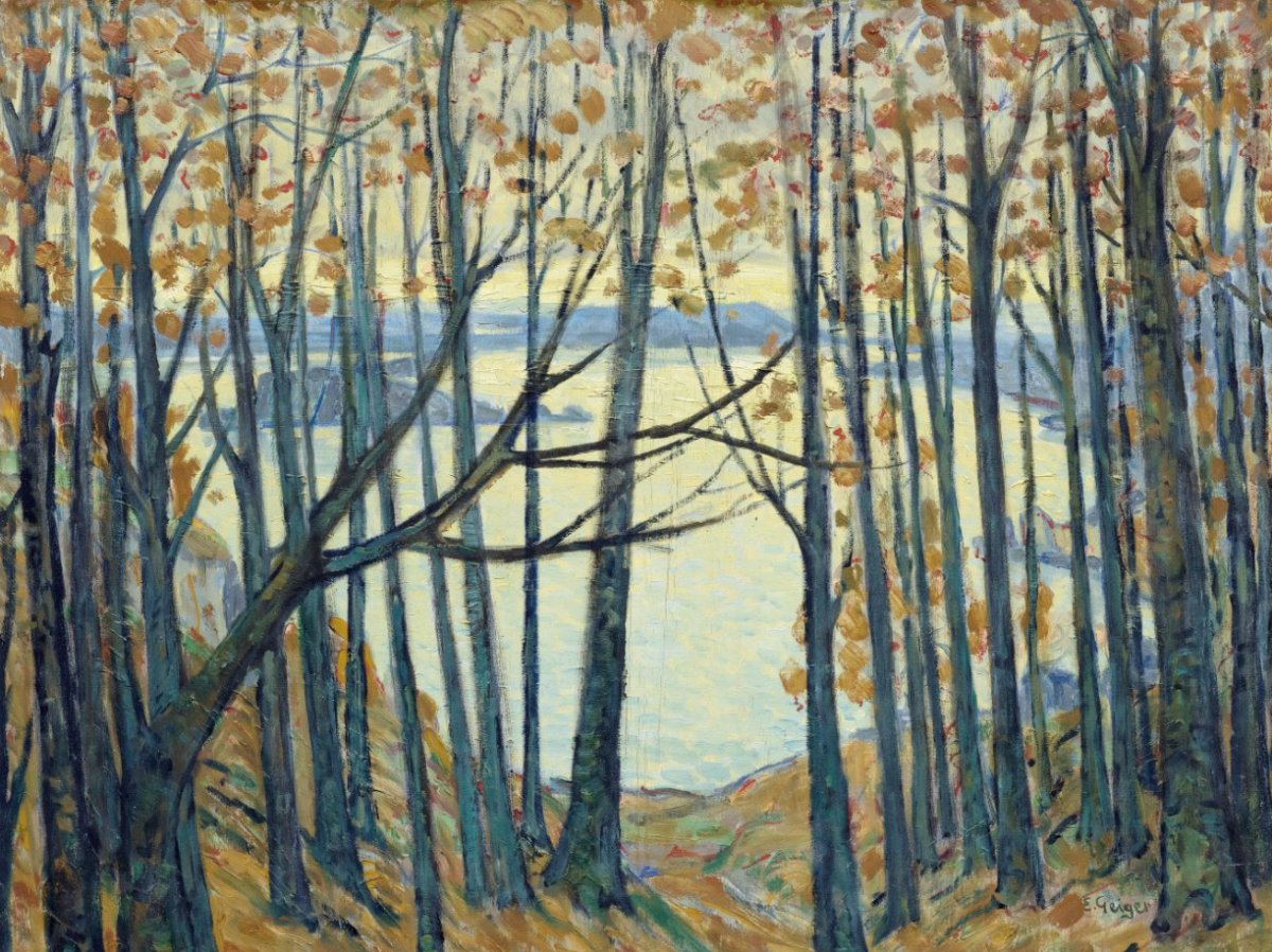 Vue à travers les troncs d'arbres