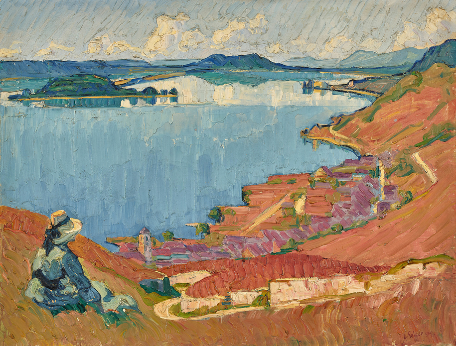 Vue sur le lac de Bienne avec l'île Saint-Pierre