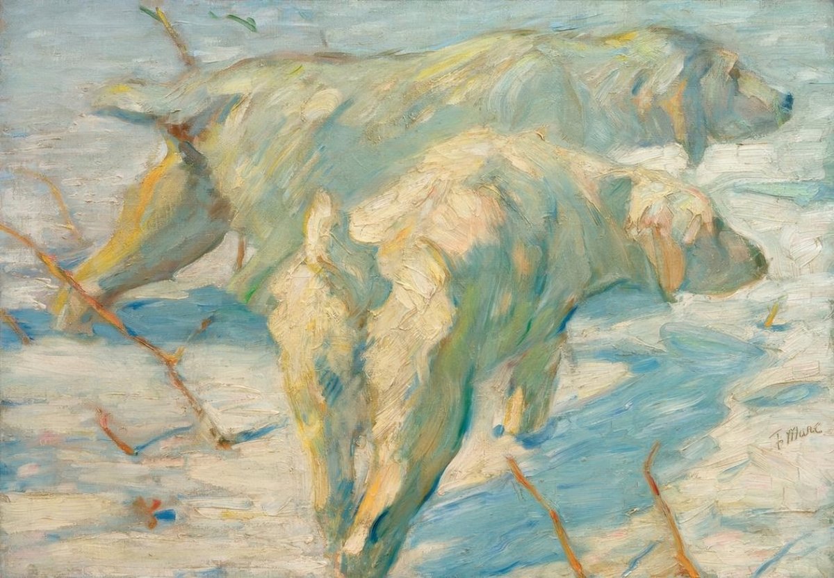 Chiens de berger de Sibérie, 1909