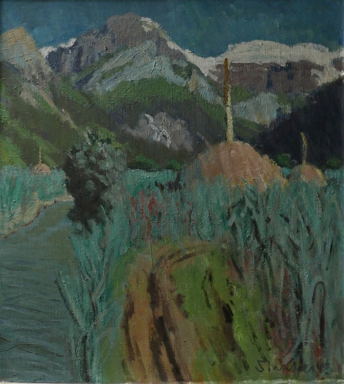 Hochmoor bei Lauenen - 59 X 65 cm