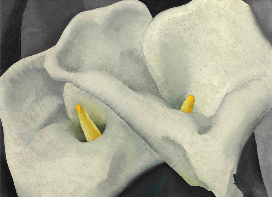 Deux lys Calla, peint vers 1925-1926