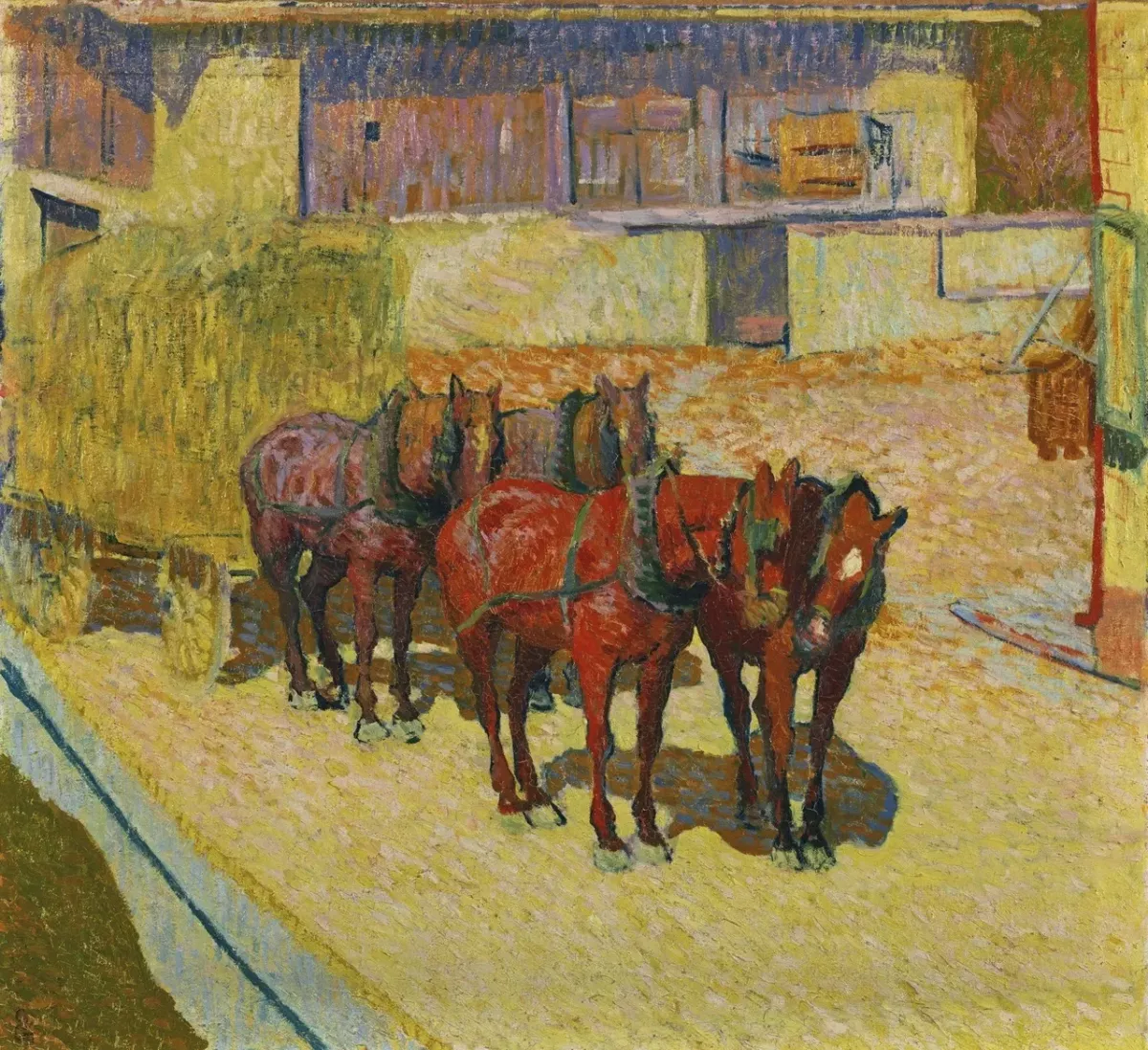 Chevaux au soleil
