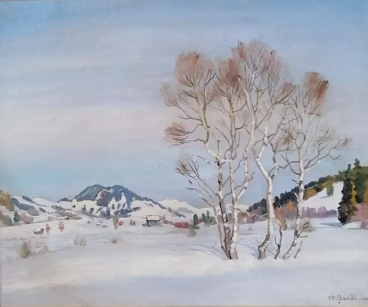 Paysage hivernal