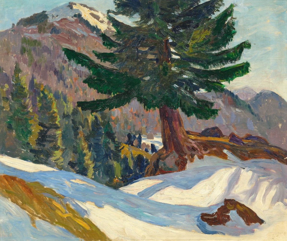 Vieux sapin météorologique au Rigi, 1938